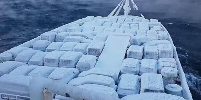Güney Kore'den Rusya'nın Vladivostok Limanı'na gelen kargo gemisindeki otomobiller soğuk hava nedeniyle buz tuttu.