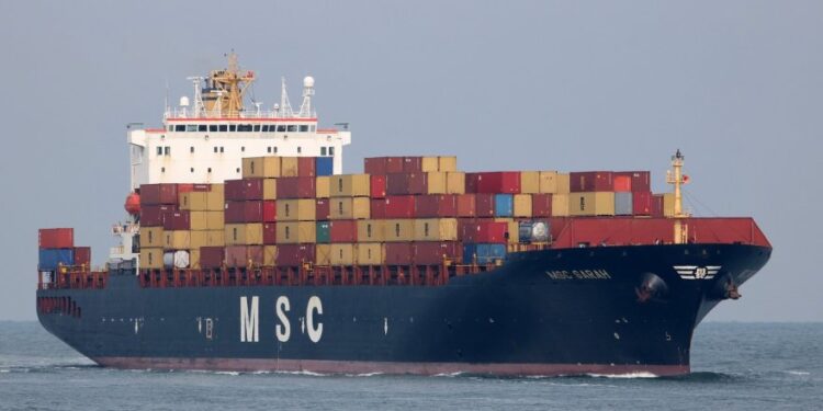 MSC, 5 milyon dolara konteyner gemisi aldı