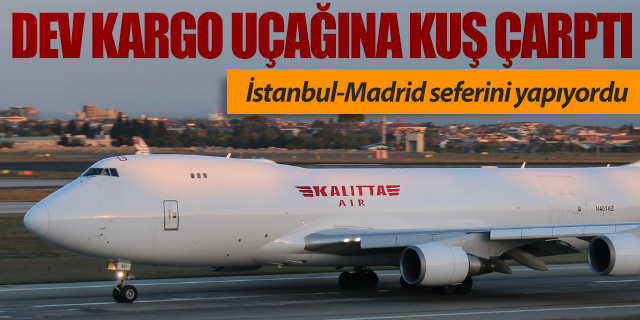 THY Kargo uçağına kuş çarptı