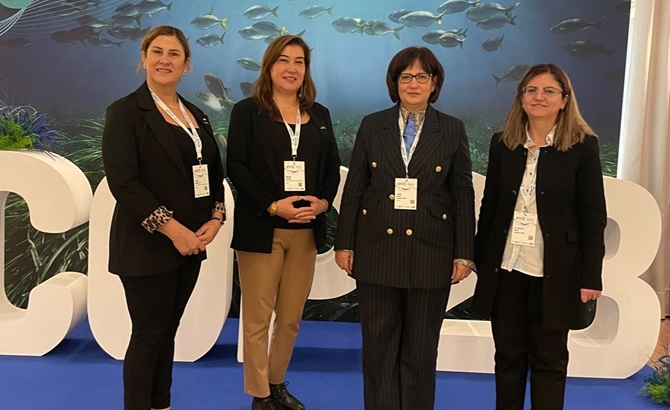 Türkiye Gemi İnşa Sanayicileri Birliği, UNEP/MAP-Barcelona Convention toplantılarına STK olarak katılım için onay aldı.
